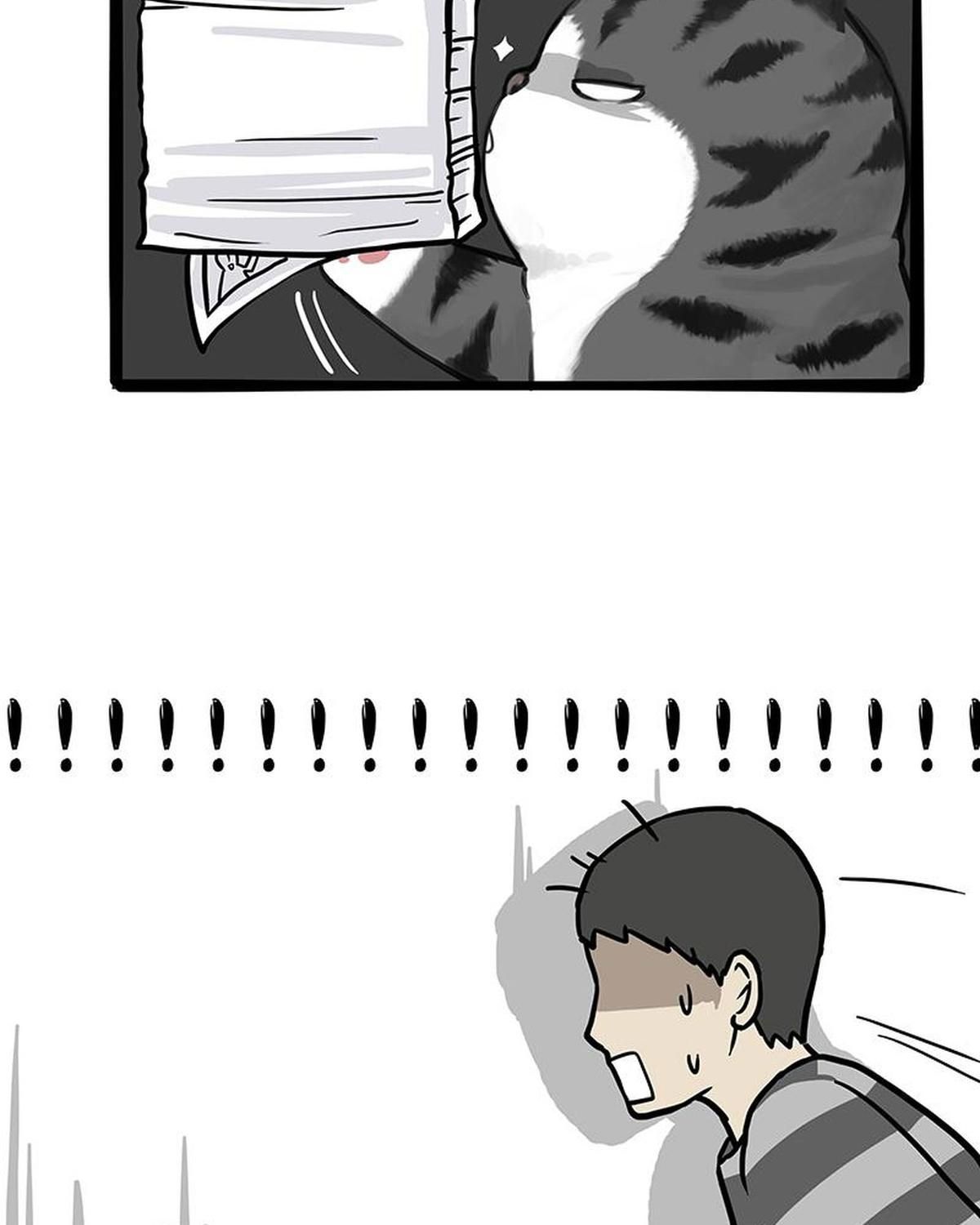 Hoàng Thượng và Ba Trát Hắc: Chapter 308