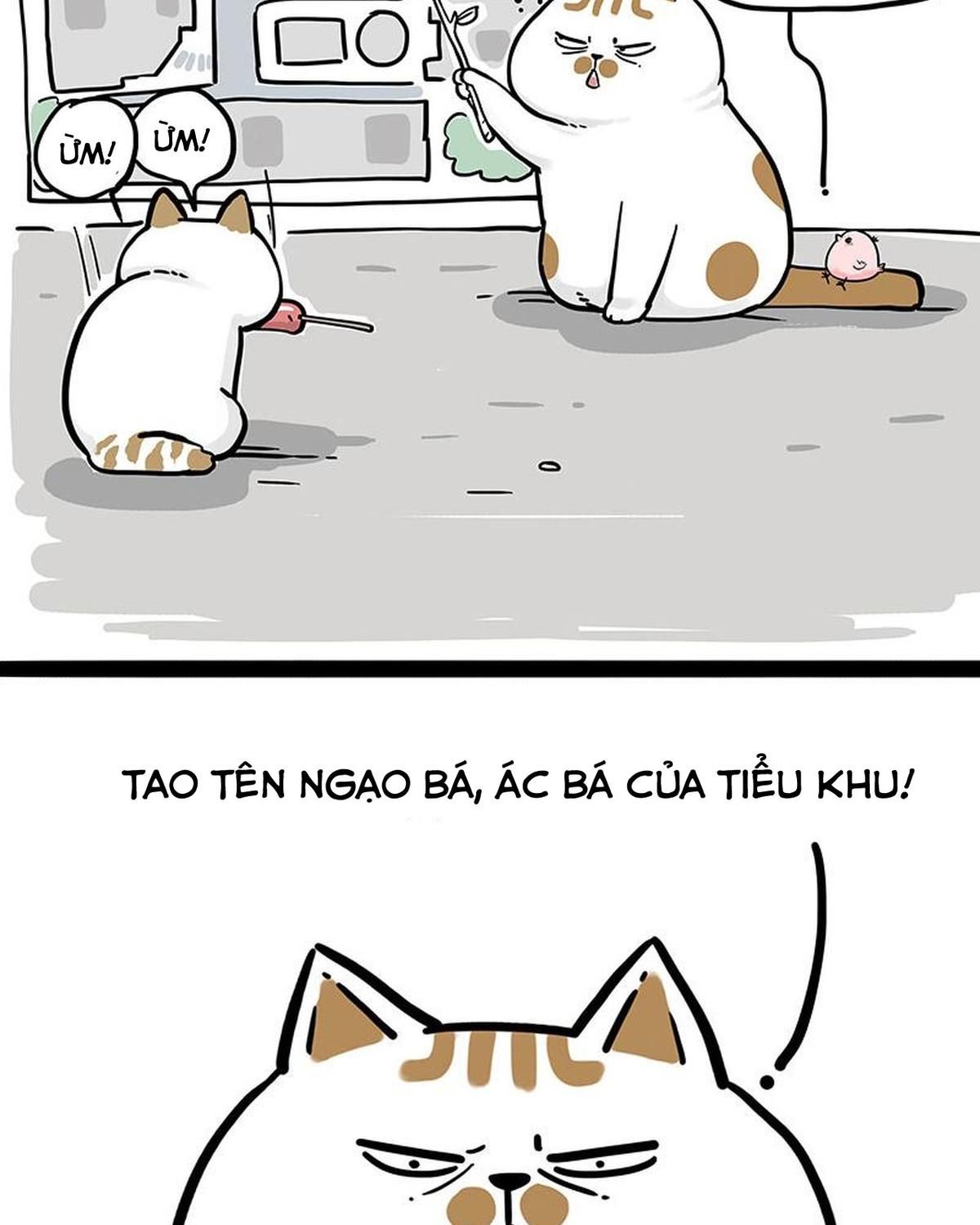 Hoàng Thượng và Ba Trát Hắc: Chapter 308