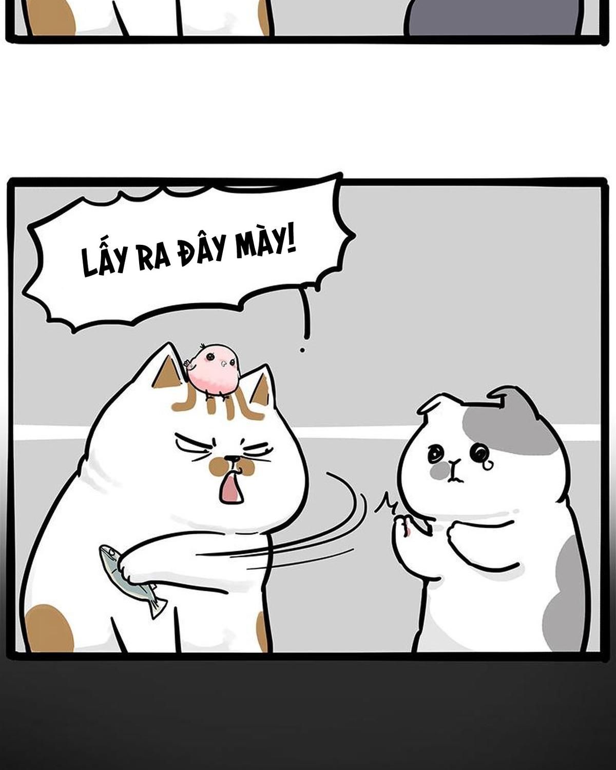 Hoàng Thượng và Ba Trát Hắc: Chapter 308