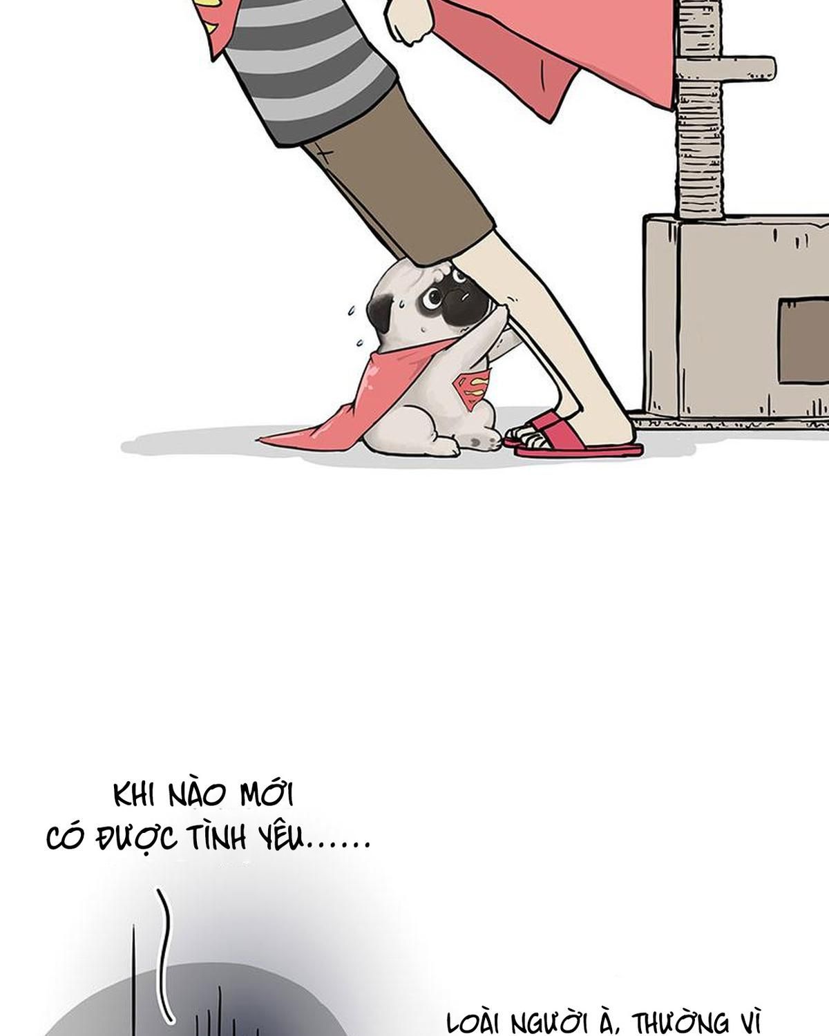 Hoàng Thượng và Ba Trát Hắc: Chapter 311