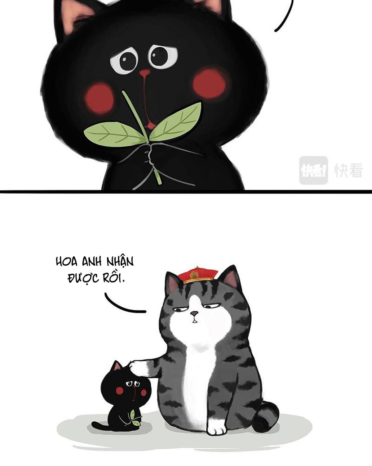 Hoàng Thượng và Ba Trát Hắc: Chapter 311