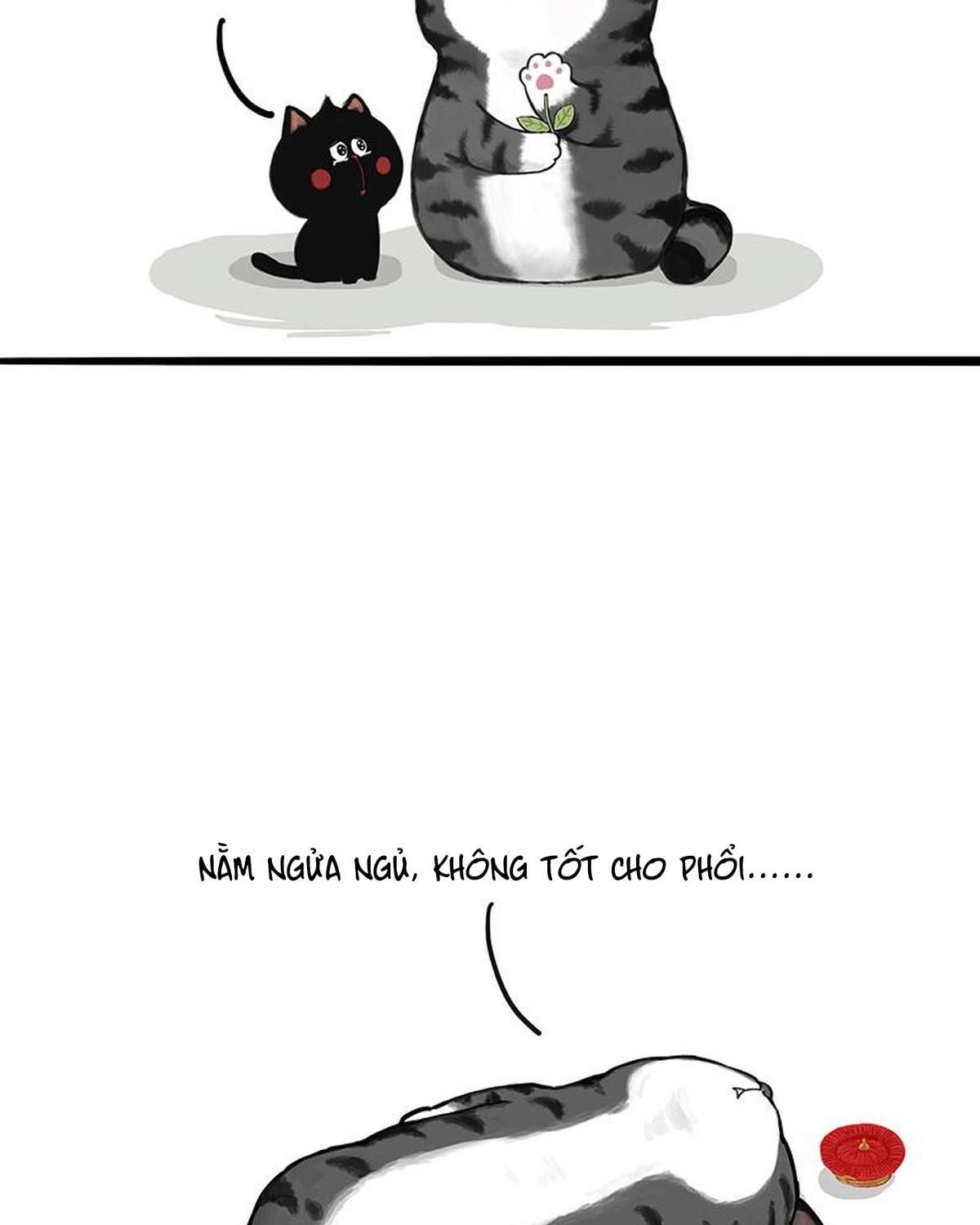 Hoàng Thượng và Ba Trát Hắc: Chapter 311