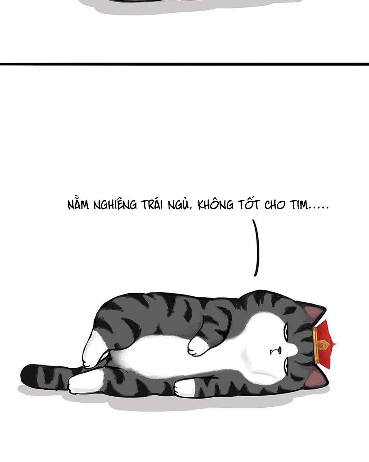 Hoàng Thượng và Ba Trát Hắc: Chapter 311