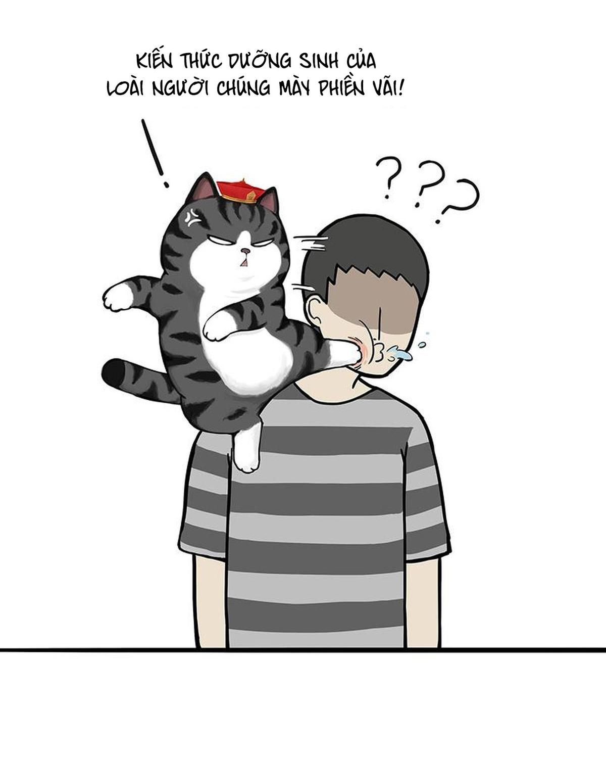 Hoàng Thượng và Ba Trát Hắc: Chapter 311