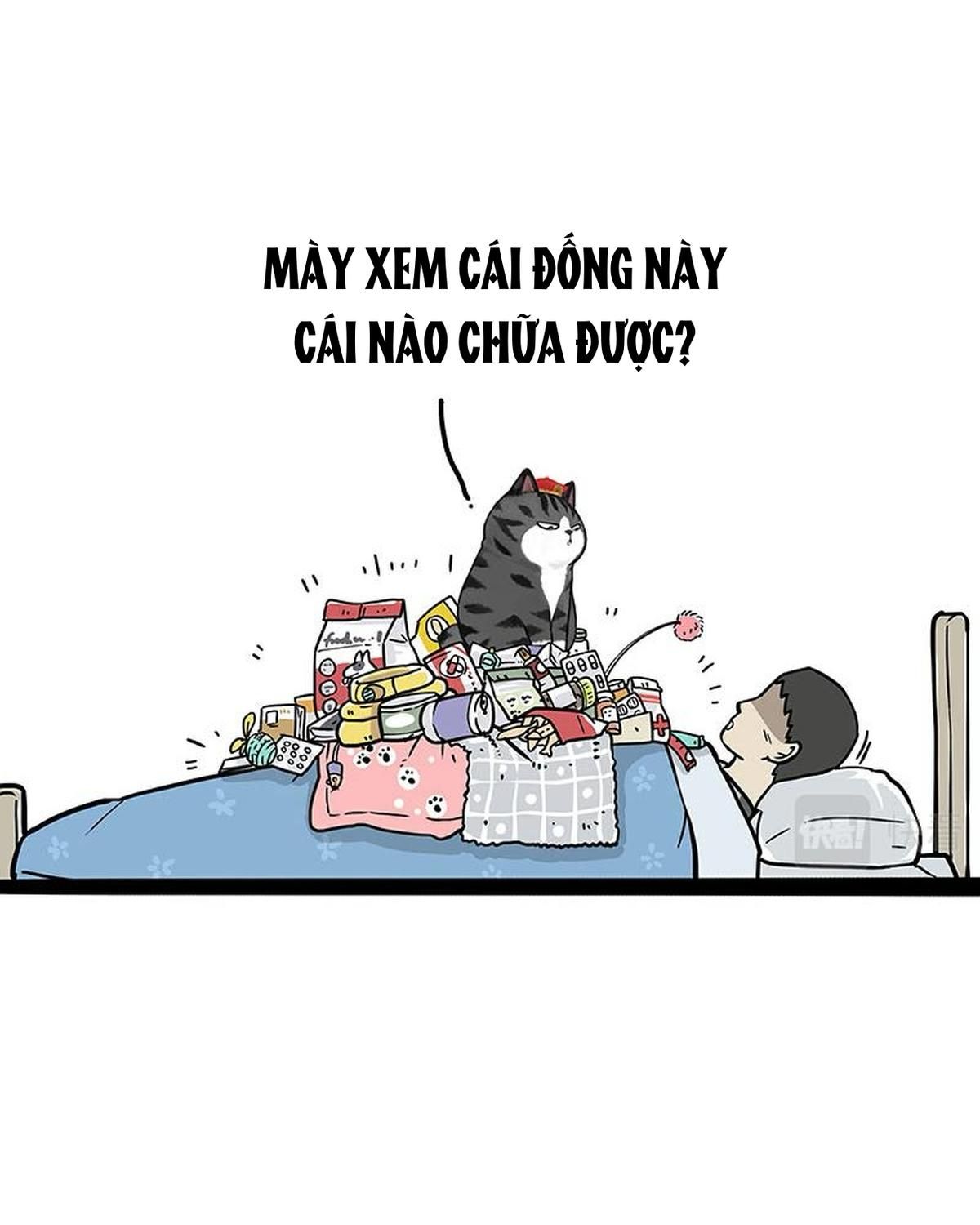 Hoàng Thượng và Ba Trát Hắc: Chapter 316