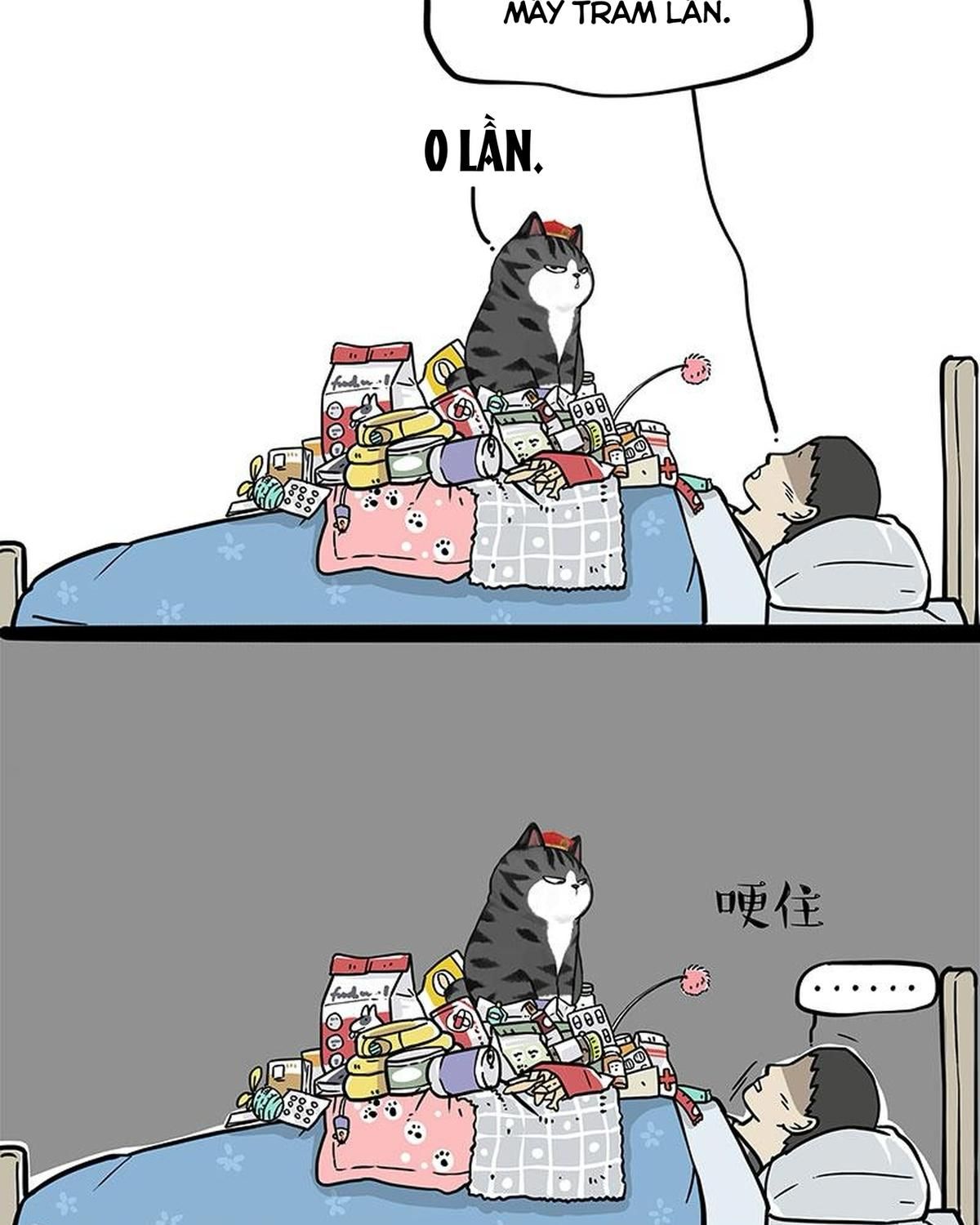 Hoàng Thượng và Ba Trát Hắc: Chapter 316