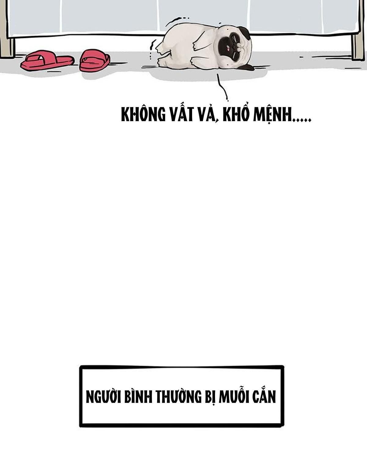 Hoàng Thượng và Ba Trát Hắc: Chapter 316