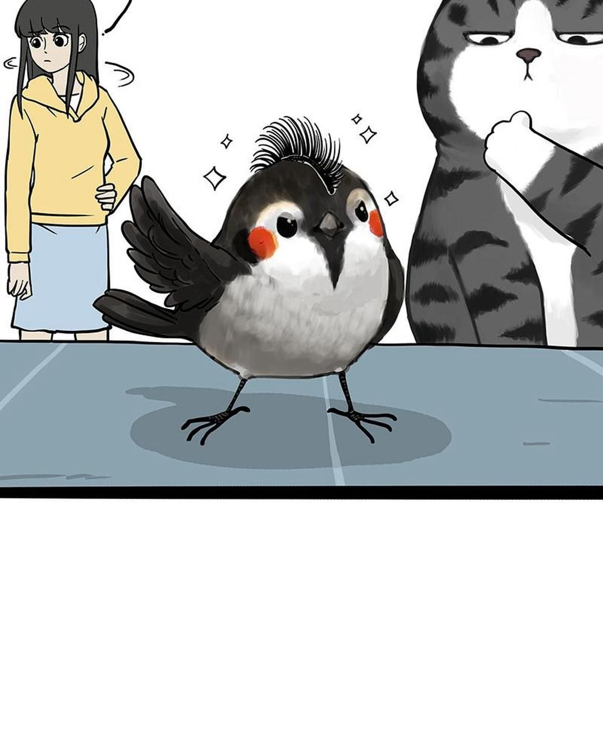 Hoàng Thượng và Ba Trát Hắc: Chapter 319