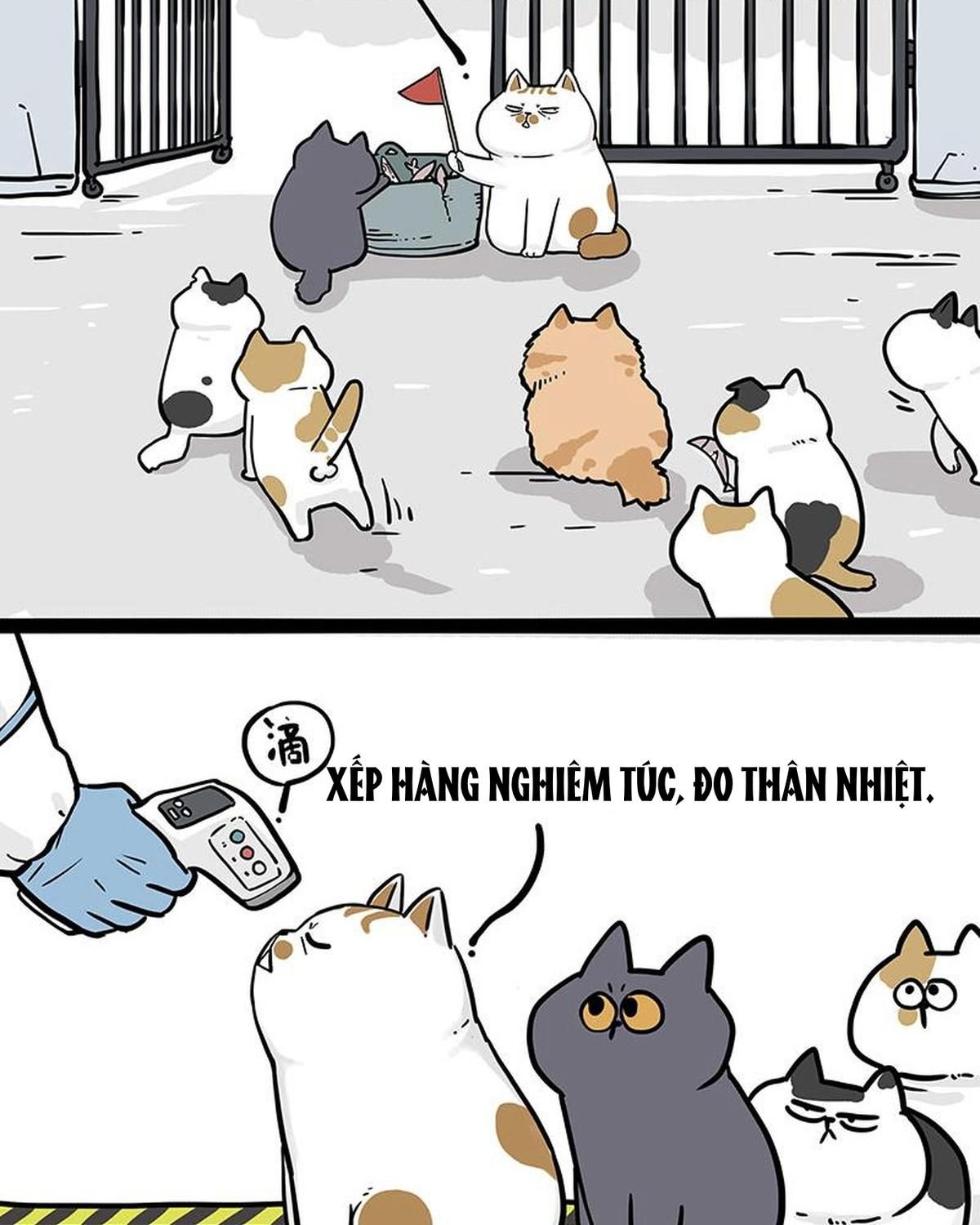 Hoàng Thượng và Ba Trát Hắc: Chapter 328