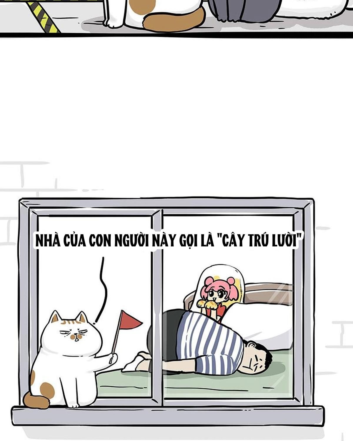 Hoàng Thượng và Ba Trát Hắc: Chapter 328