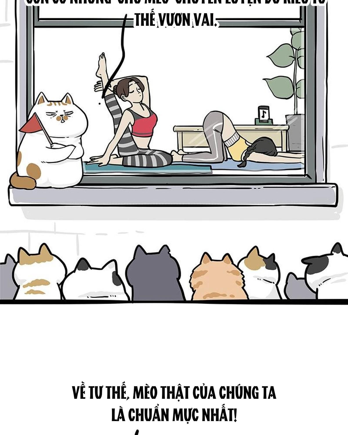 Hoàng Thượng và Ba Trát Hắc: Chapter 328