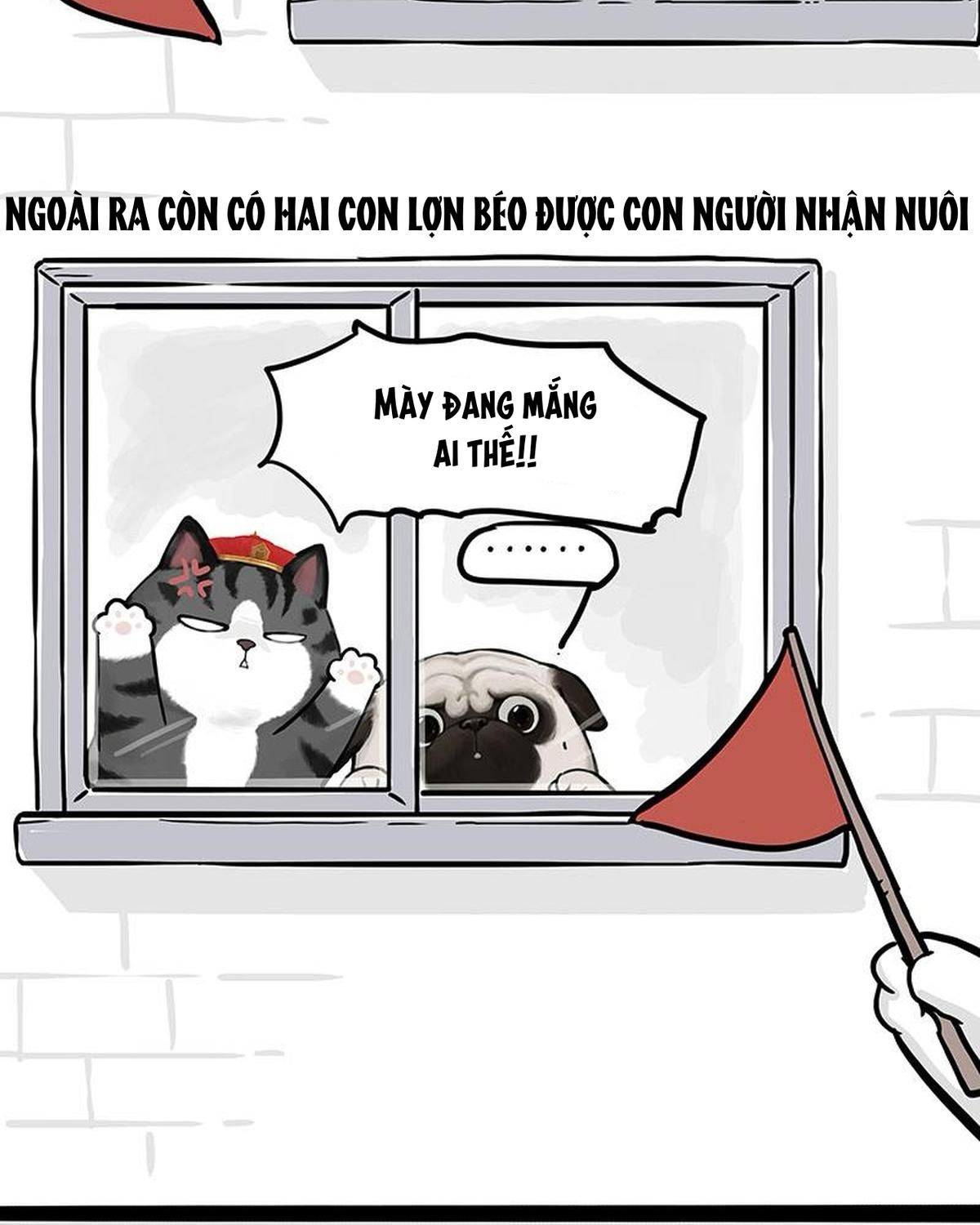 Hoàng Thượng và Ba Trát Hắc: Chapter 328