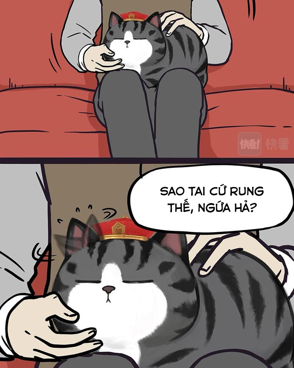 Hoàng Thượng và Ba Trát Hắc: Chapter 328