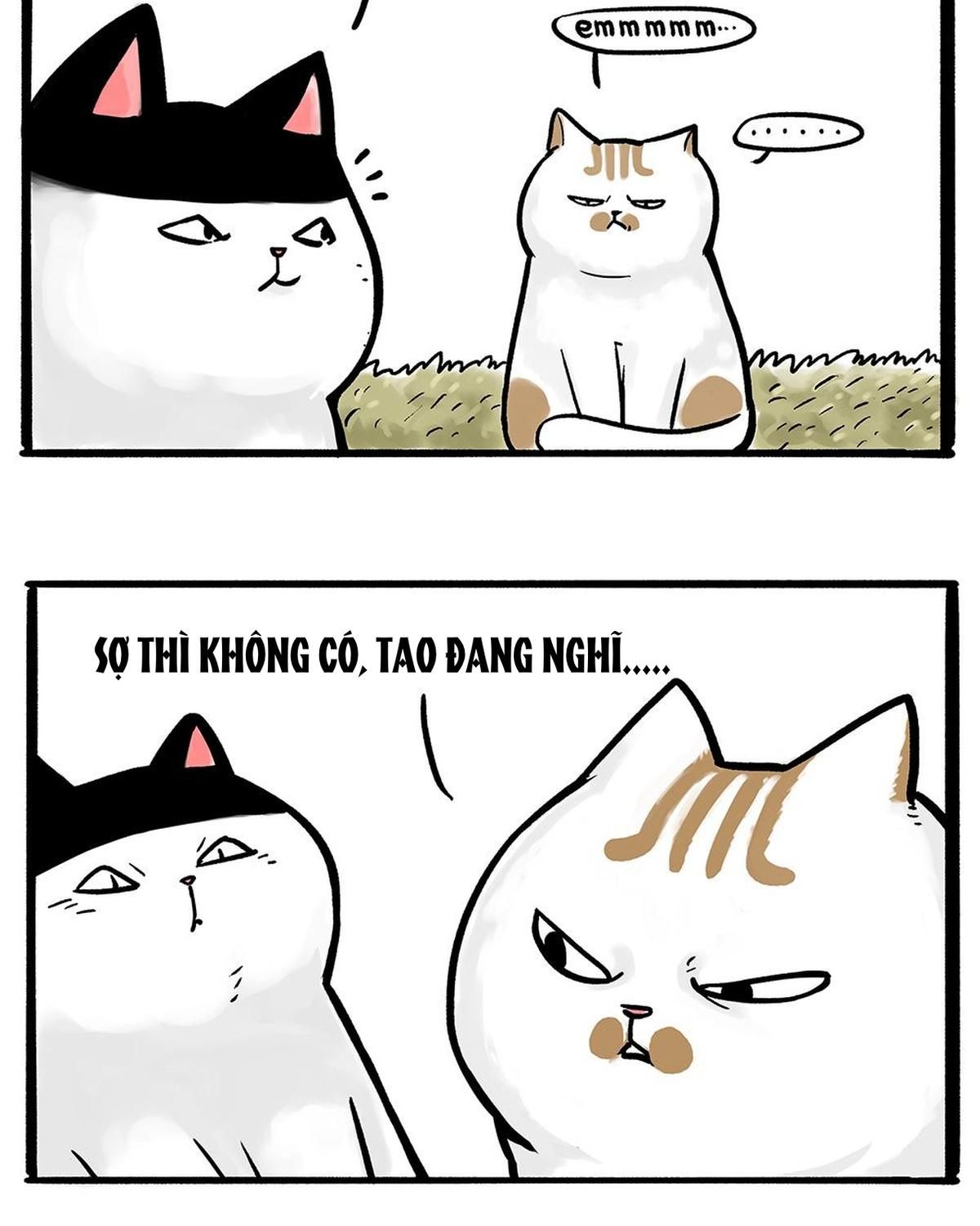 Hoàng Thượng và Ba Trát Hắc: Chapter 331