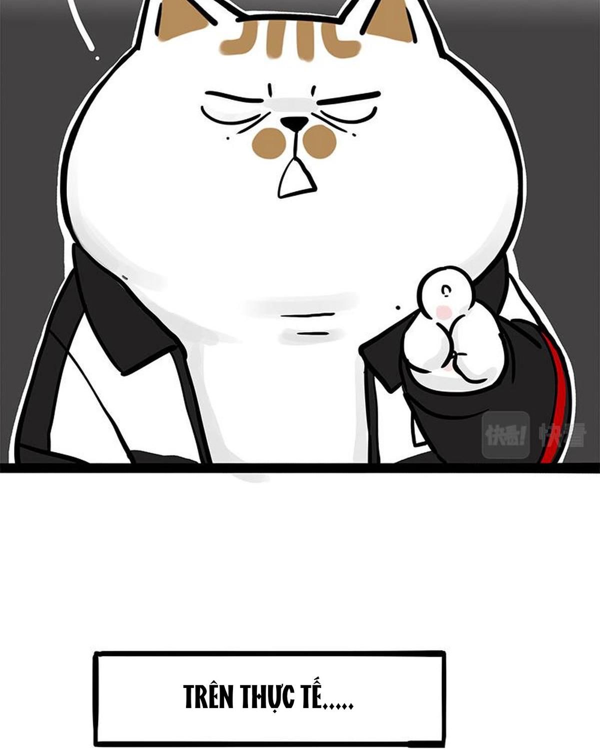 Hoàng Thượng và Ba Trát Hắc: Chapter 338