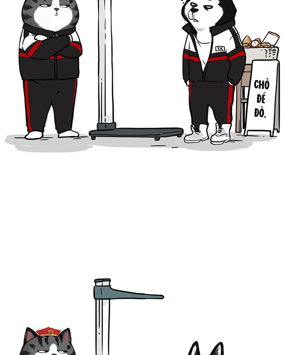 Hoàng Thượng và Ba Trát Hắc: Chapter 338