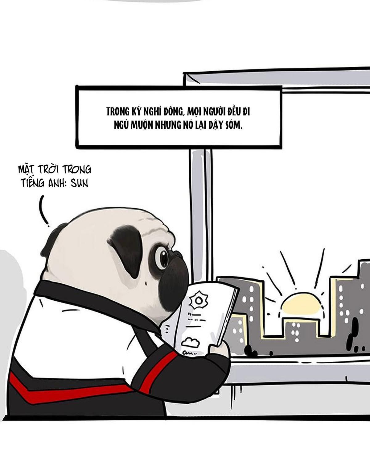 Hoàng Thượng và Ba Trát Hắc: Chapter 338