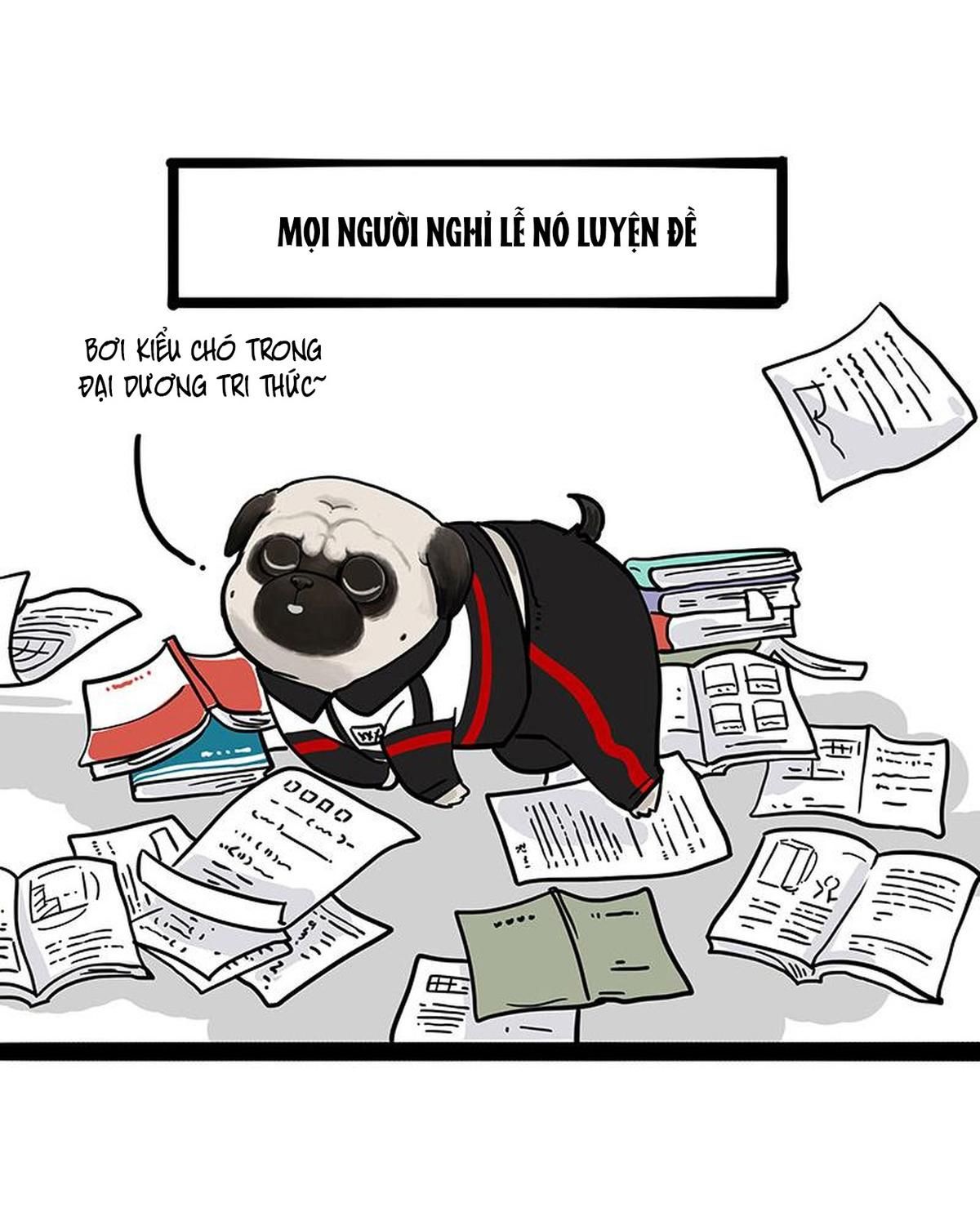 Hoàng Thượng và Ba Trát Hắc: Chapter 338