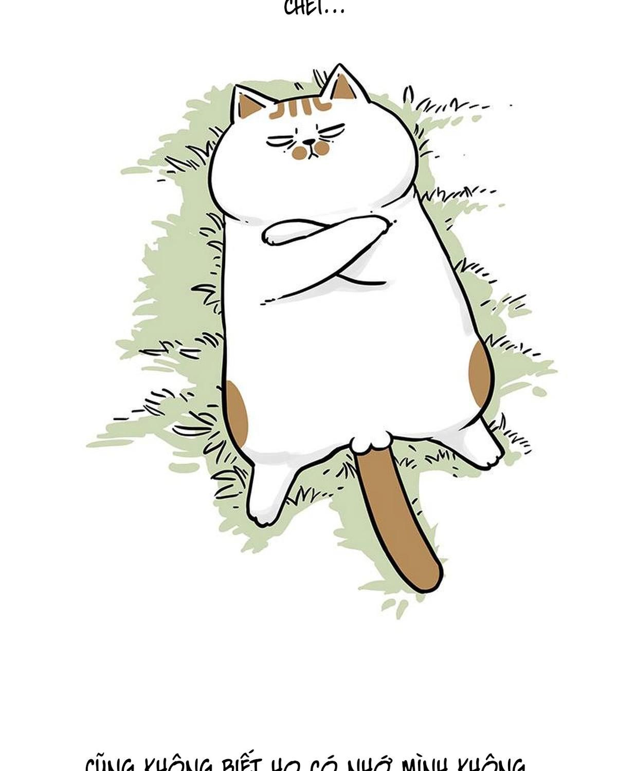 Hoàng Thượng và Ba Trát Hắc: Chapter 339