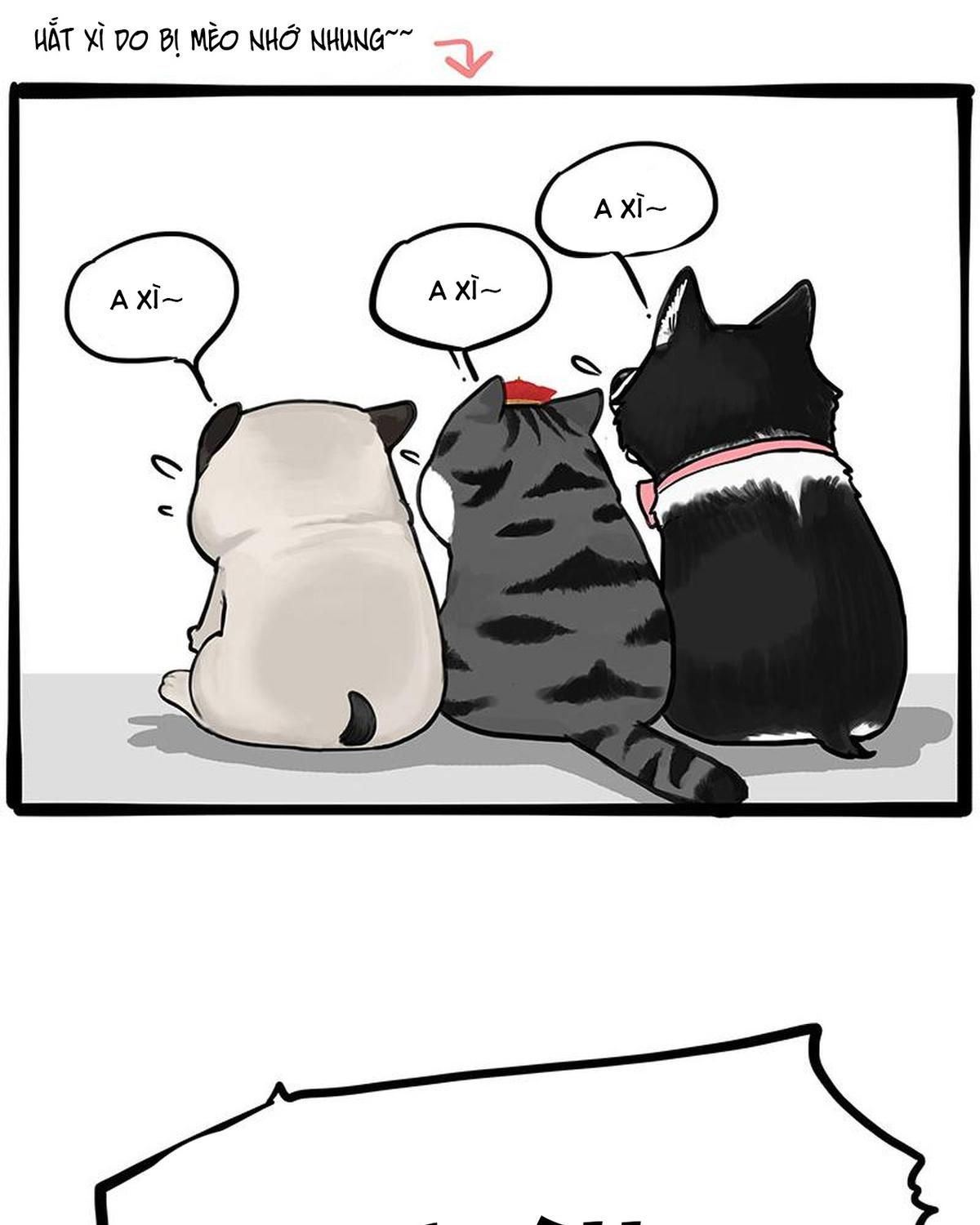 Hoàng Thượng và Ba Trát Hắc: Chapter 339