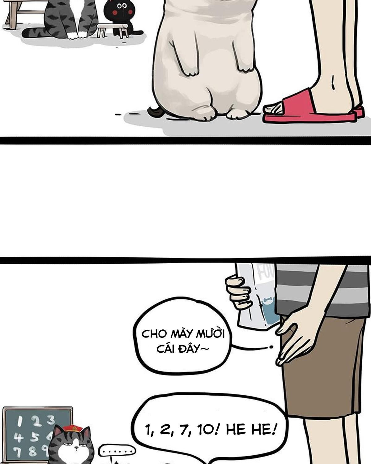 Hoàng Thượng và Ba Trát Hắc: Chapter 346