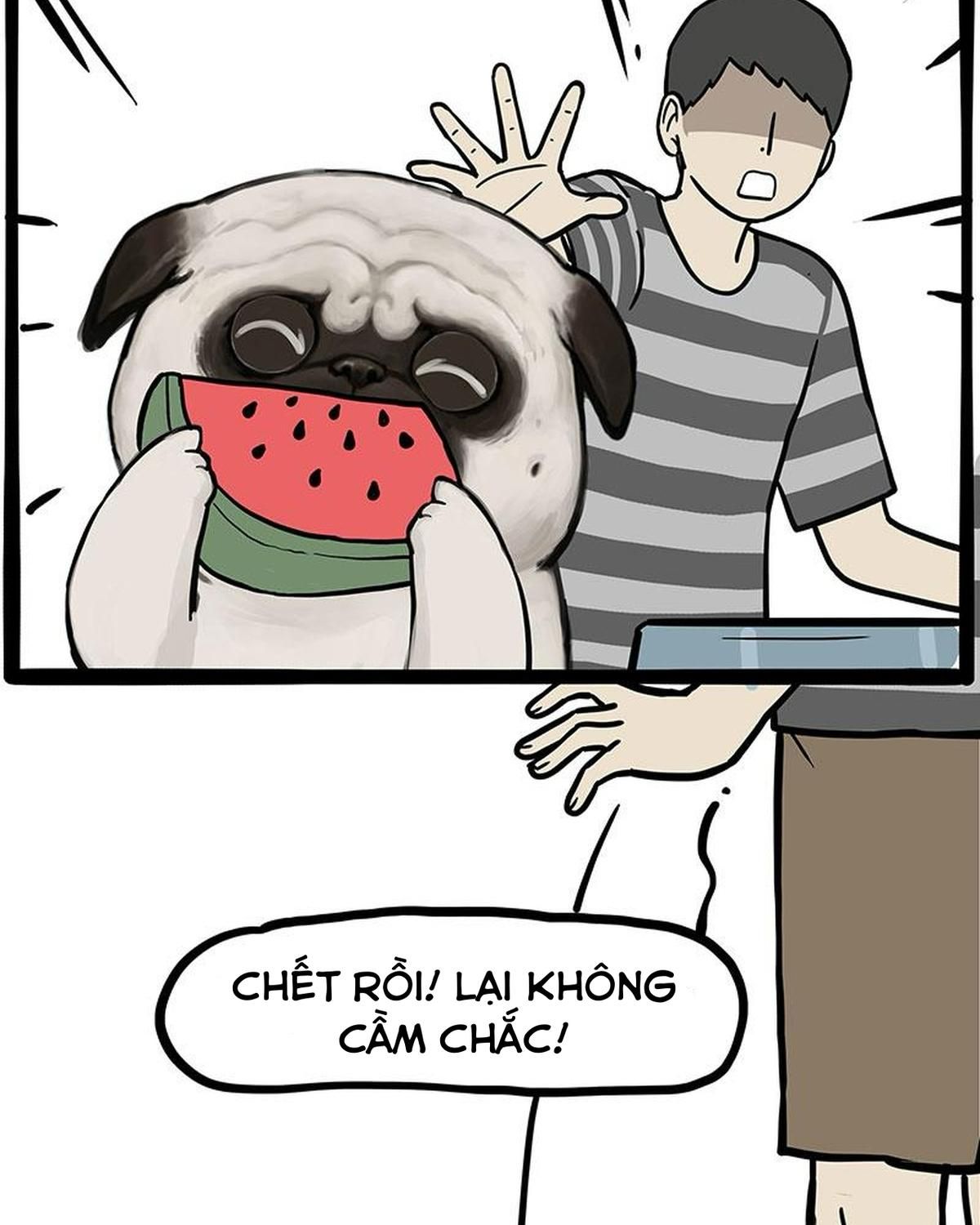 Hoàng Thượng và Ba Trát Hắc: Chapter 347