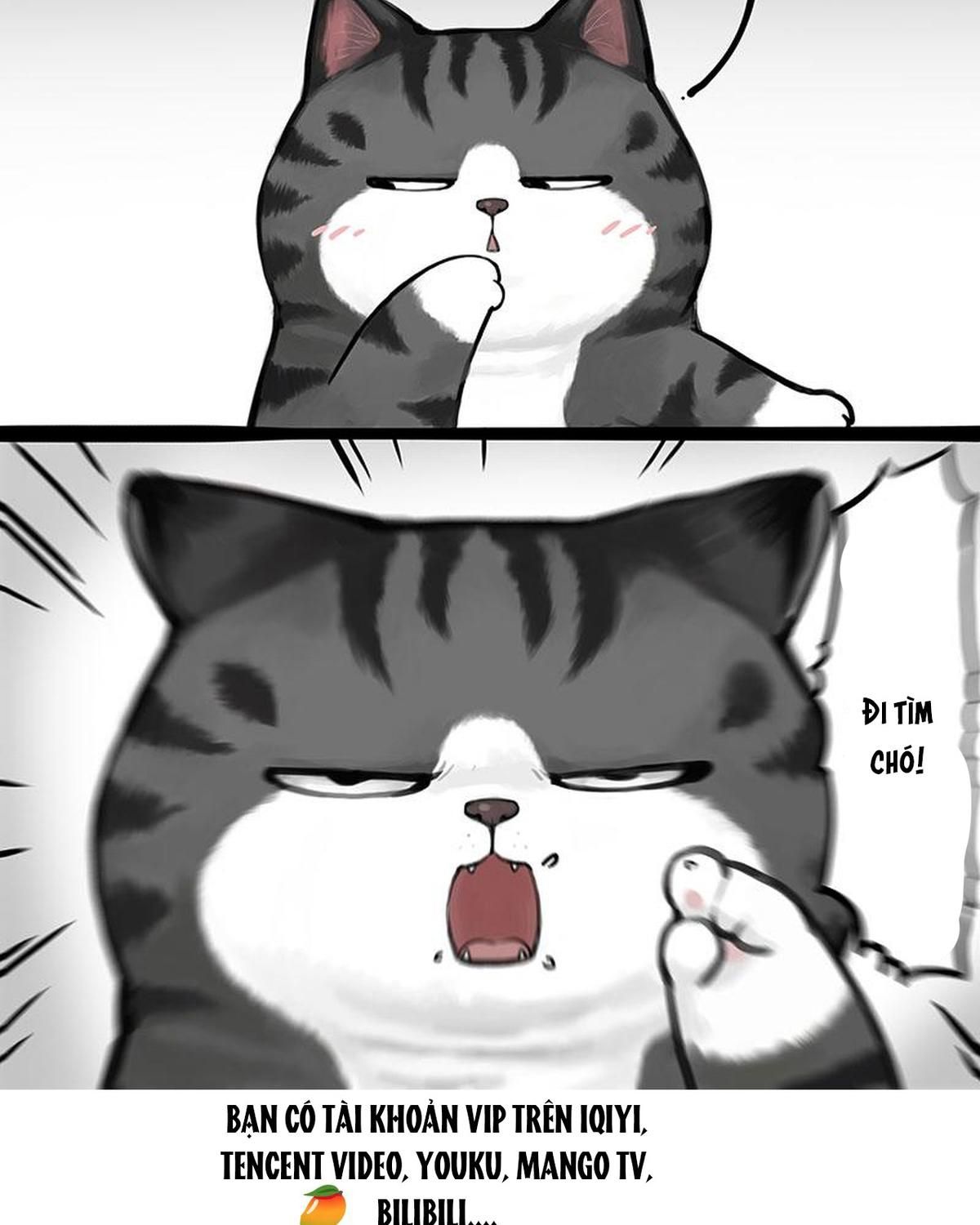 Hoàng Thượng và Ba Trát Hắc: Chapter 362