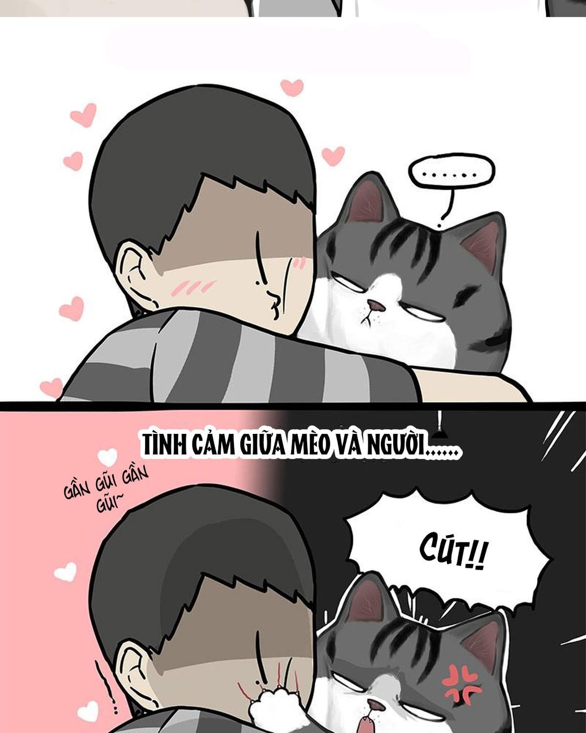 Hoàng Thượng và Ba Trát Hắc: Chapter 362