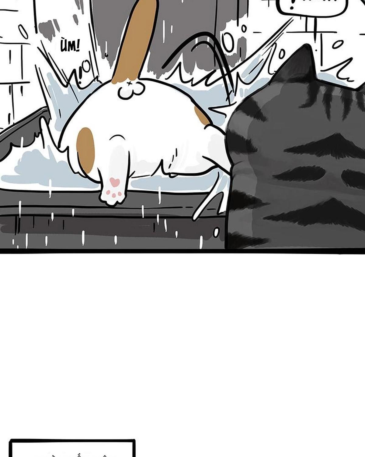 Hoàng Thượng và Ba Trát Hắc: Chapter 364