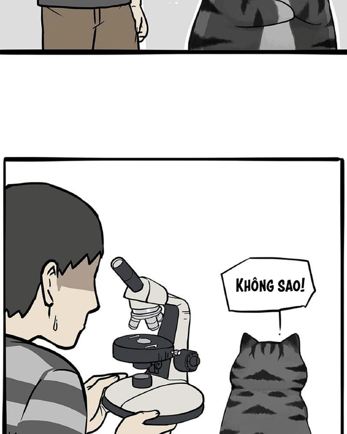 Hoàng Thượng và Ba Trát Hắc: Chapter 371