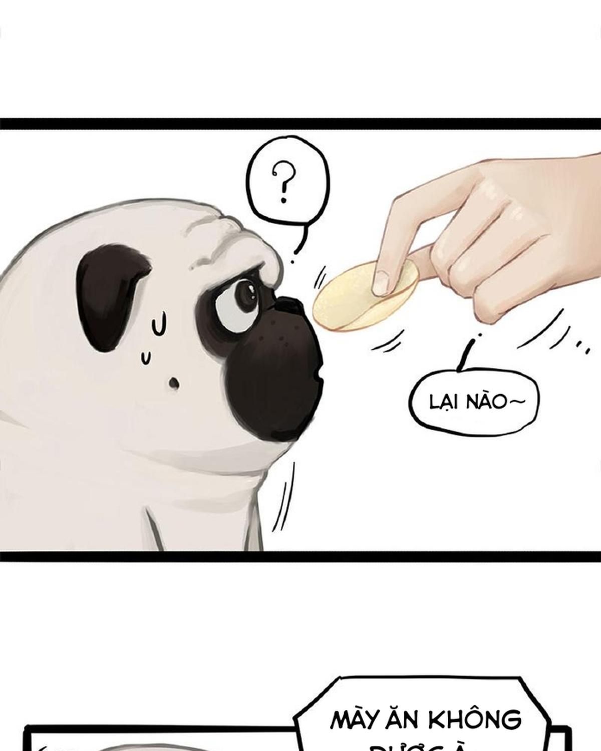 Hoàng Thượng và Ba Trát Hắc: Chapter 372