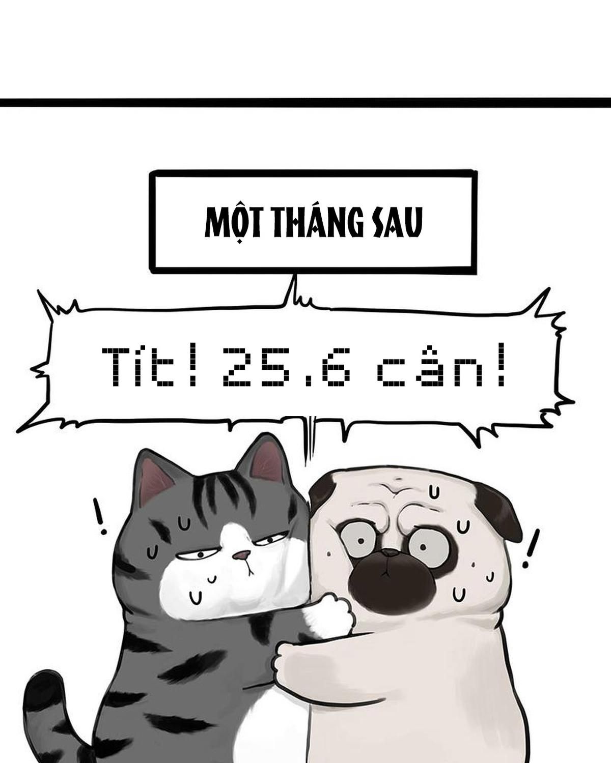 Hoàng Thượng và Ba Trát Hắc: Chapter 383