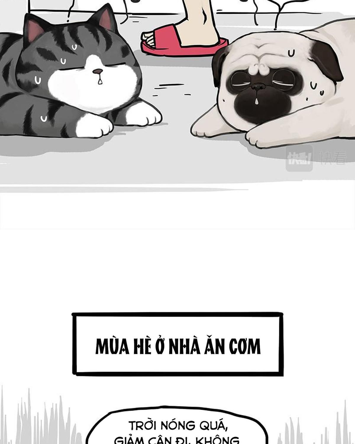 Hoàng Thượng và Ba Trát Hắc: Chapter 383