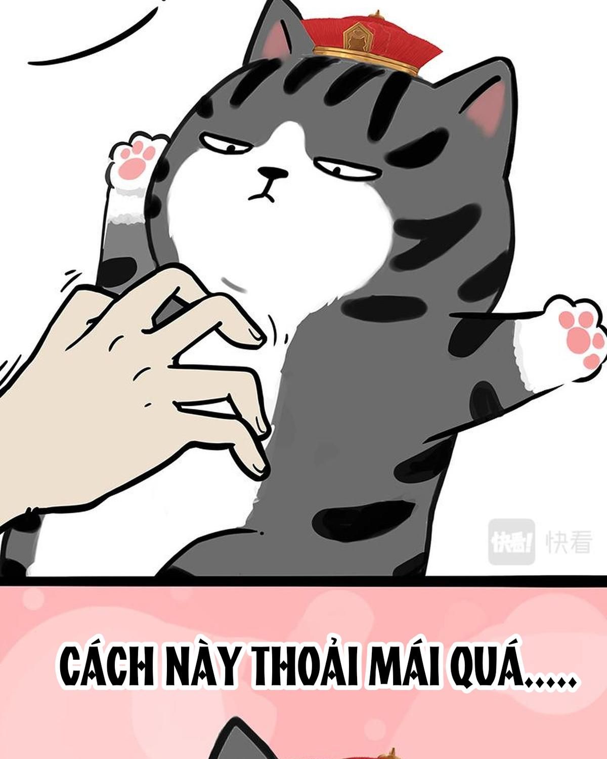 Hoàng Thượng và Ba Trát Hắc: Chapter 385