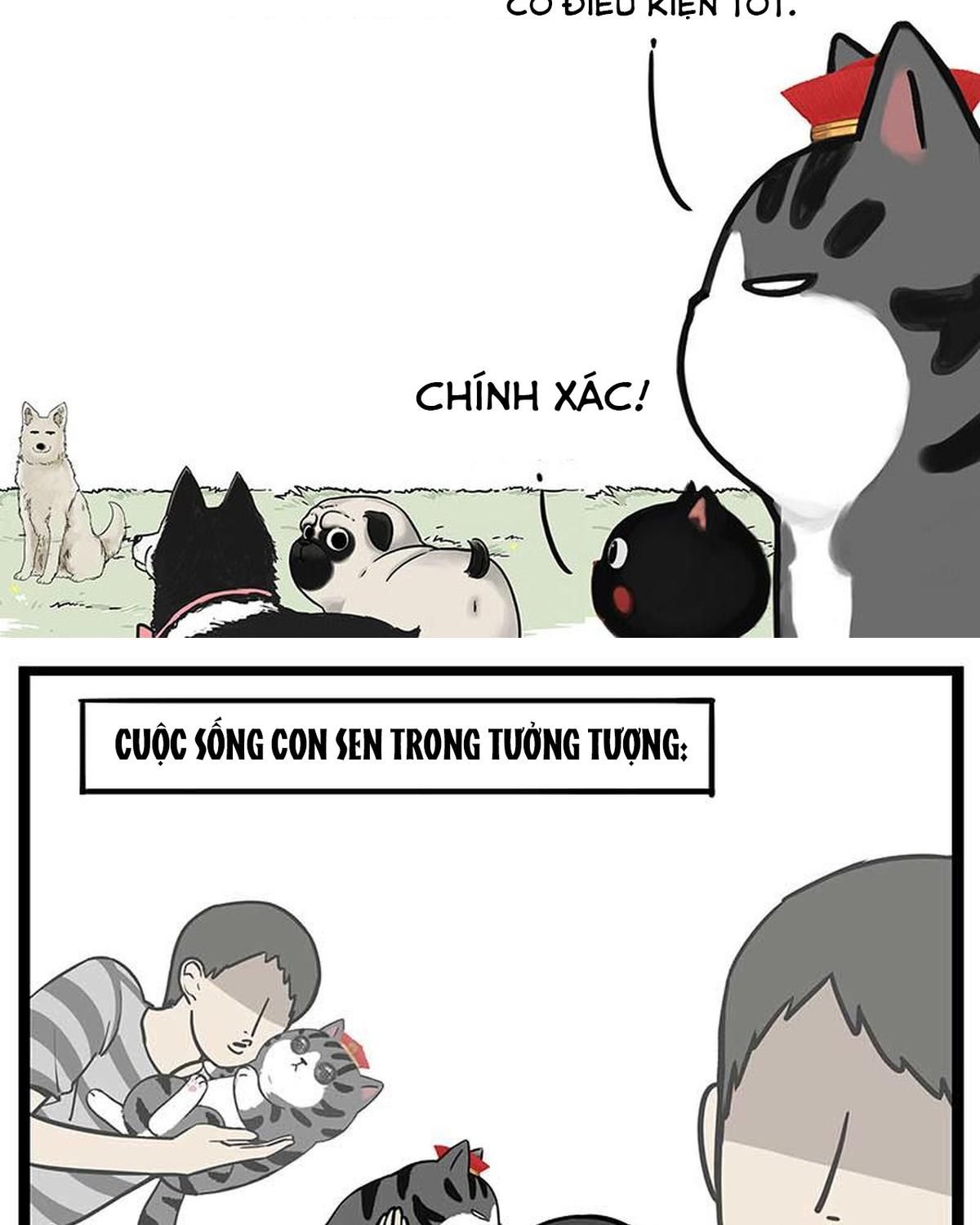 Hoàng Thượng và Ba Trát Hắc: Chapter 385