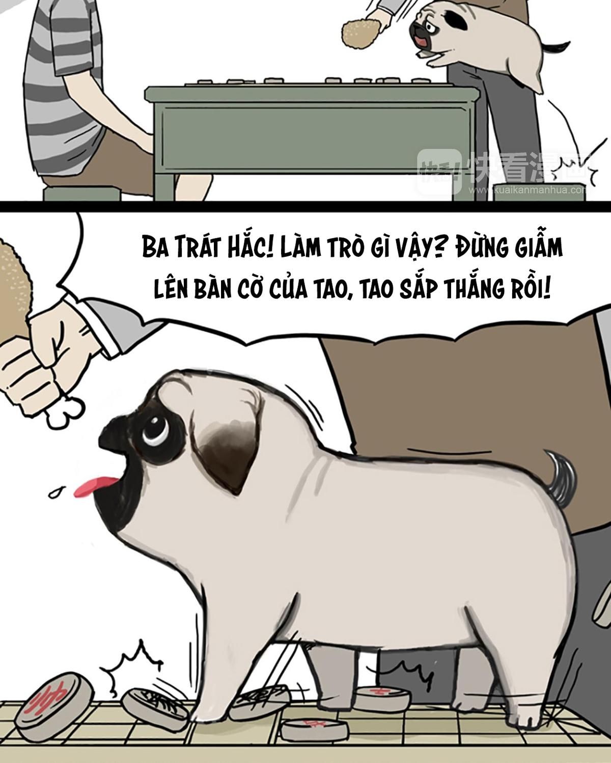 Hoàng Thượng và Ba Trát Hắc: Chapter 40