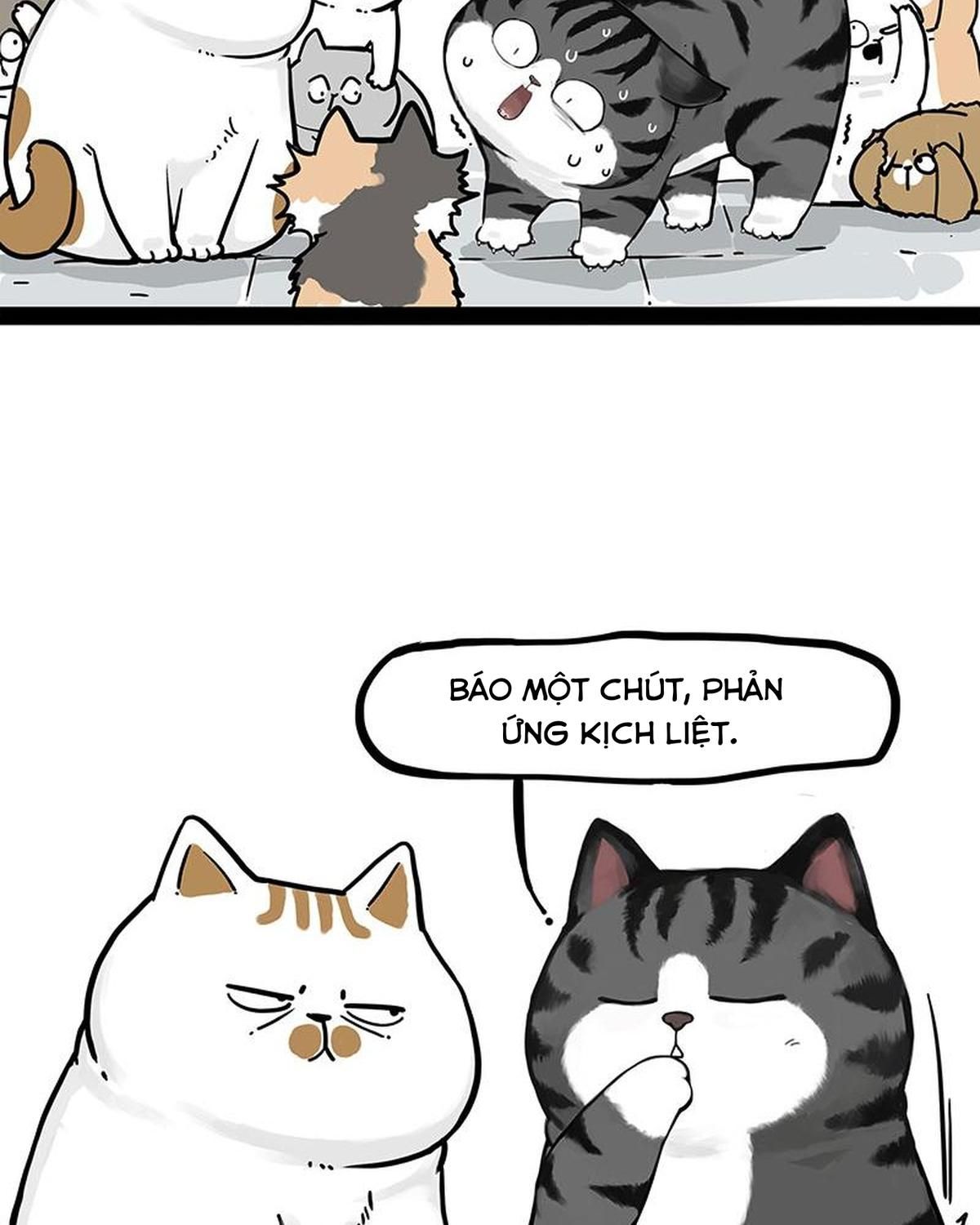 Hoàng Thượng và Ba Trát Hắc: Chapter 404