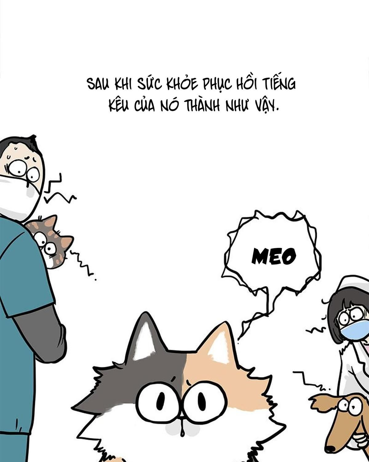 Hoàng Thượng và Ba Trát Hắc: Chapter 404