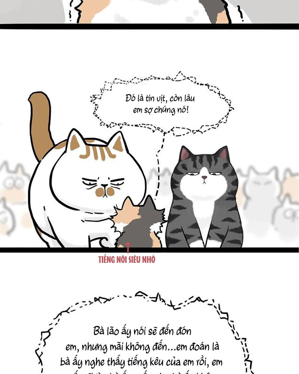 Hoàng Thượng và Ba Trát Hắc: Chapter 404