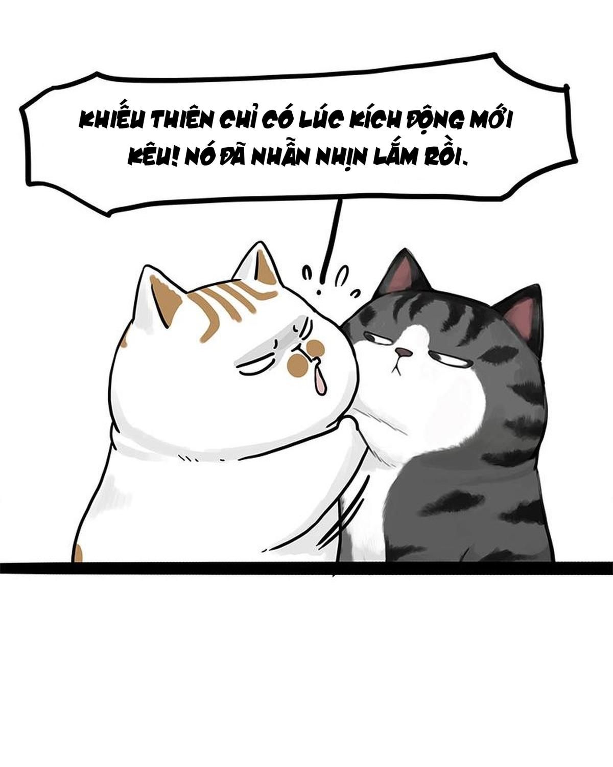 Hoàng Thượng và Ba Trát Hắc: Chapter 404