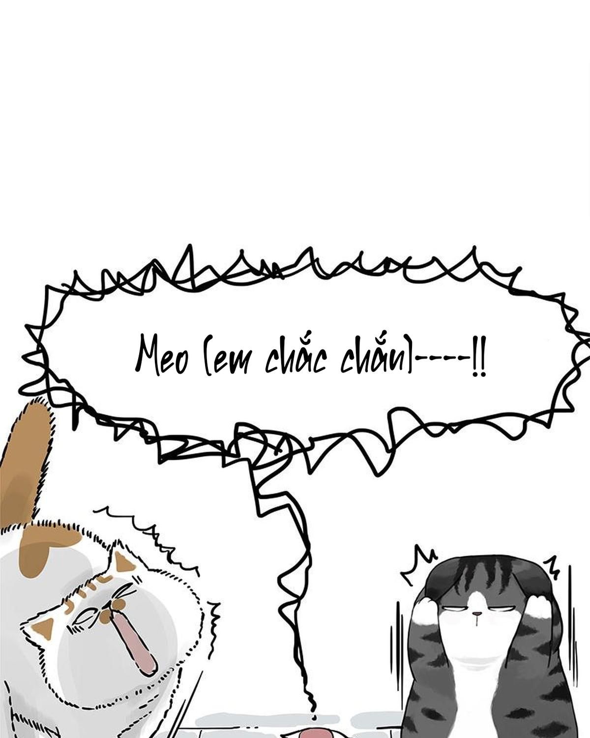 Hoàng Thượng và Ba Trát Hắc: Chapter 404