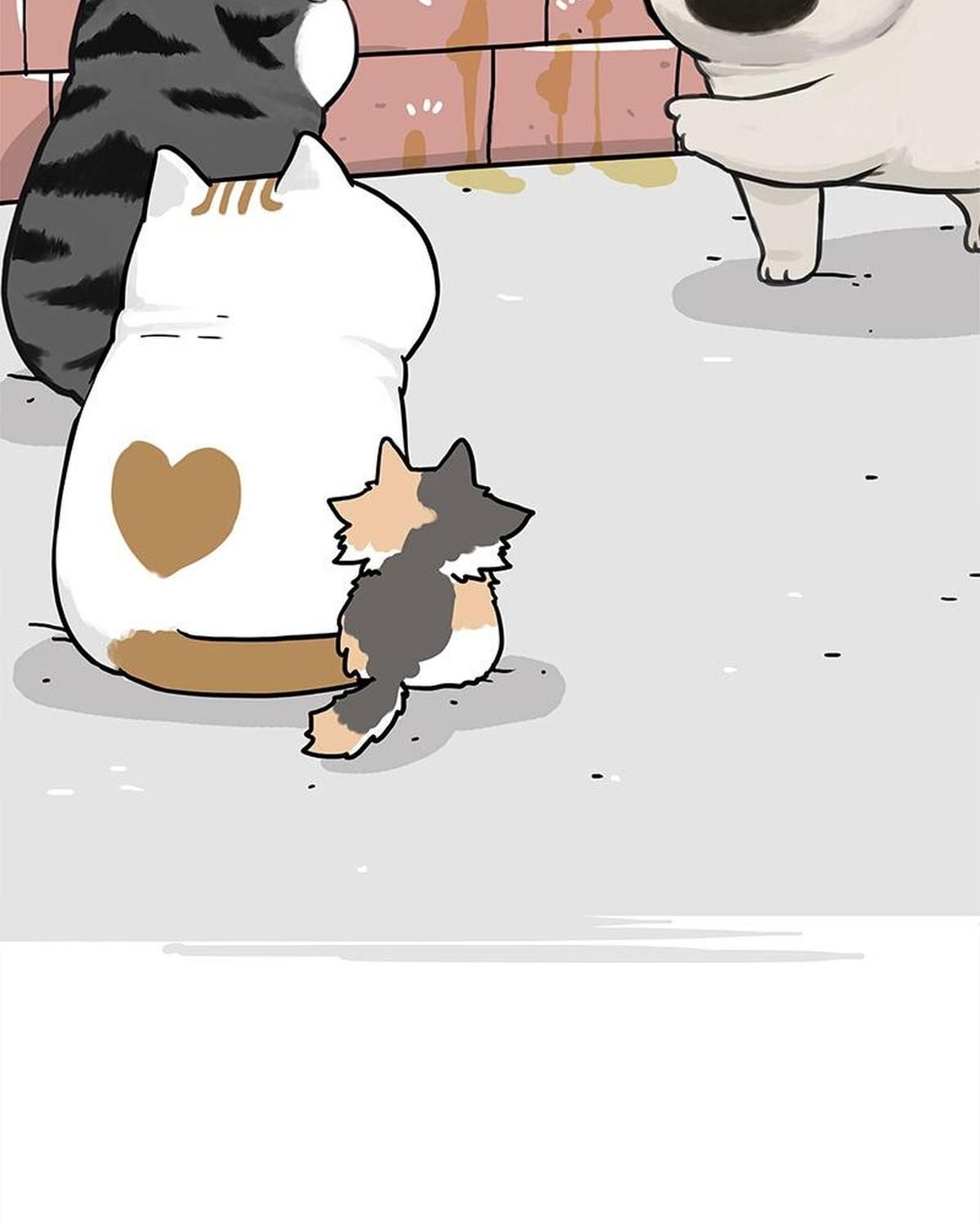 Hoàng Thượng và Ba Trát Hắc: Chapter 404