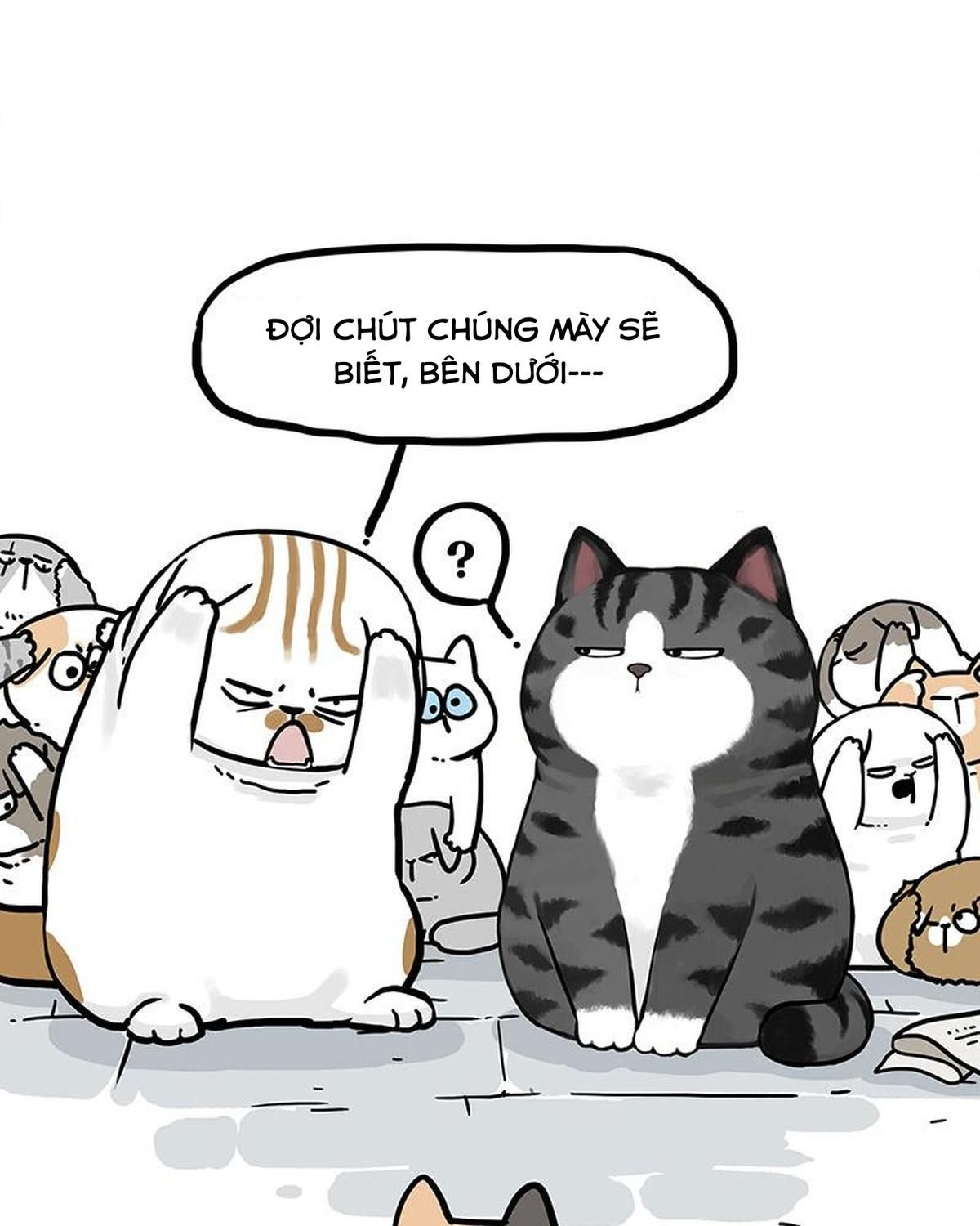 Hoàng Thượng và Ba Trát Hắc: Chapter 404