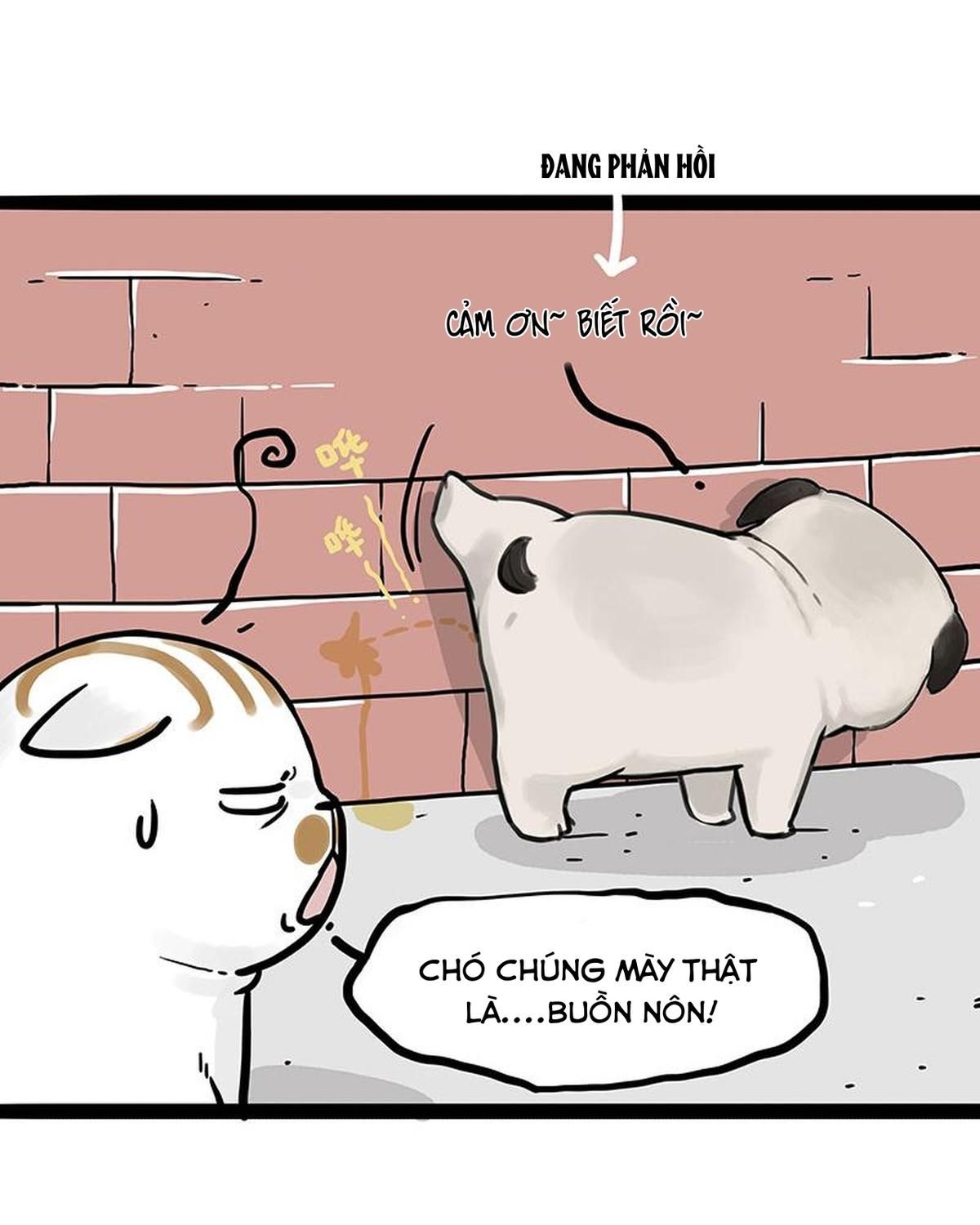 Hoàng Thượng và Ba Trát Hắc: Chapter 404