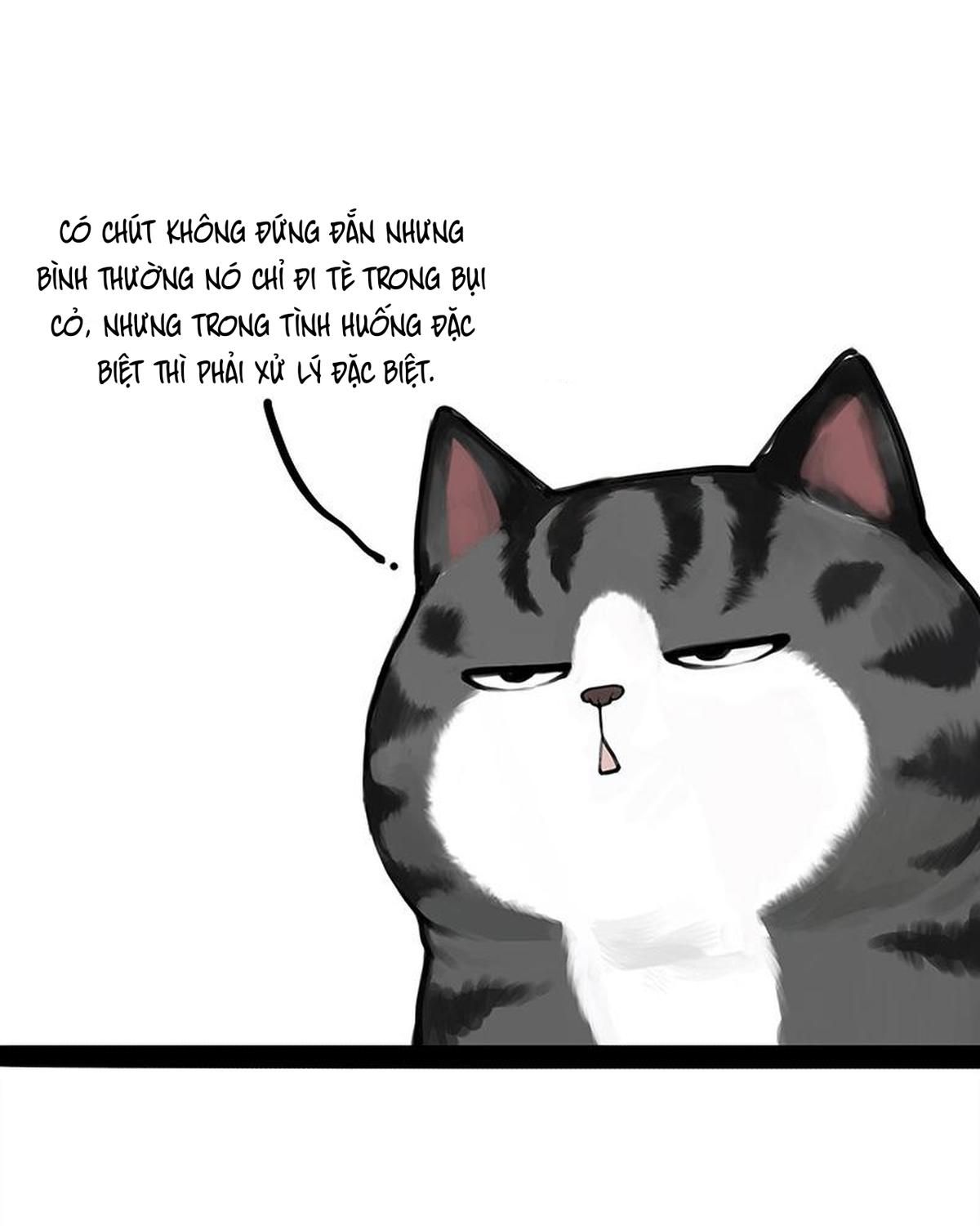 Hoàng Thượng và Ba Trát Hắc: Chapter 404