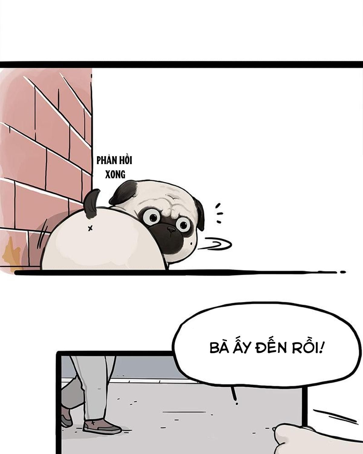 Hoàng Thượng và Ba Trát Hắc: Chapter 404