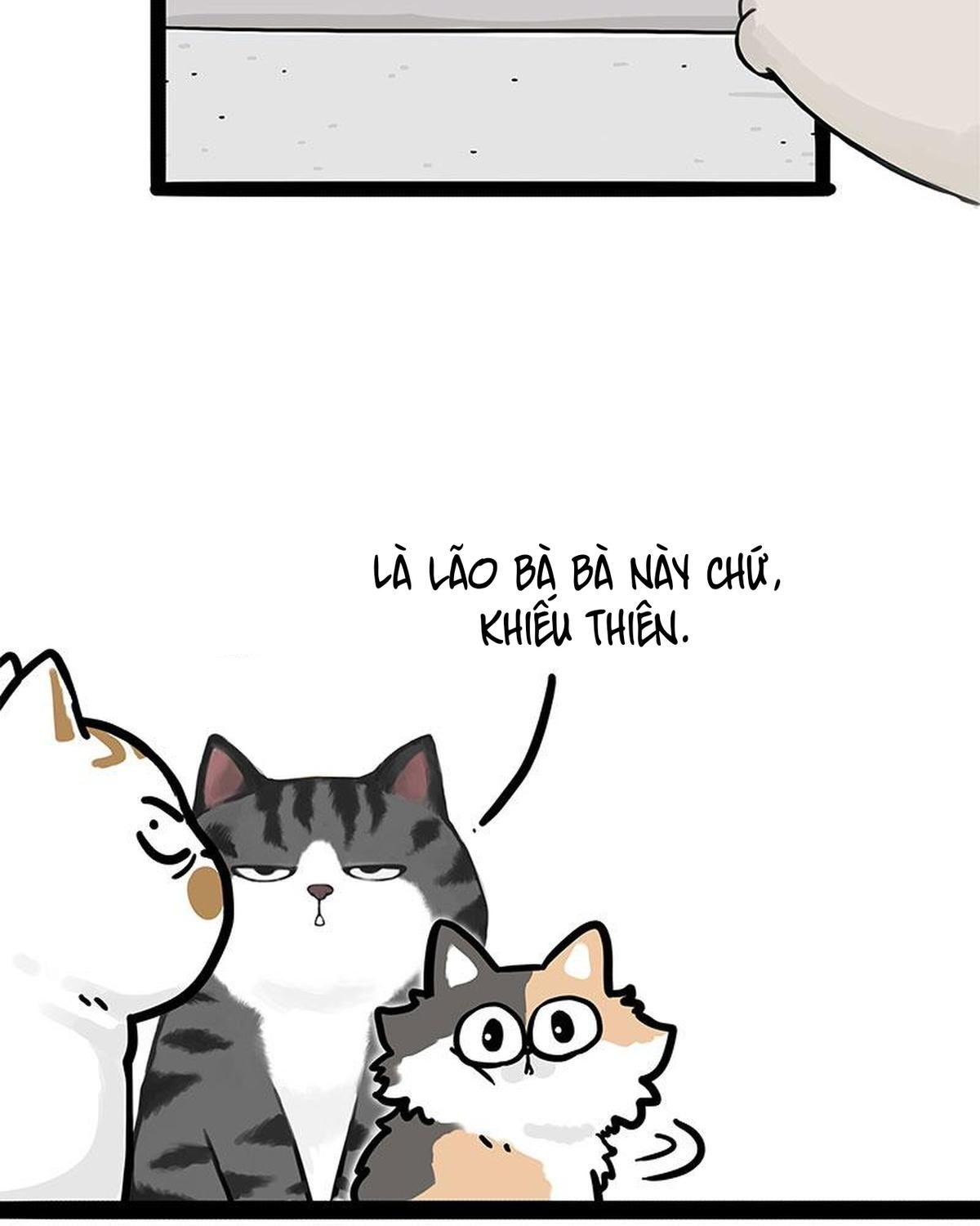 Hoàng Thượng và Ba Trát Hắc: Chapter 404