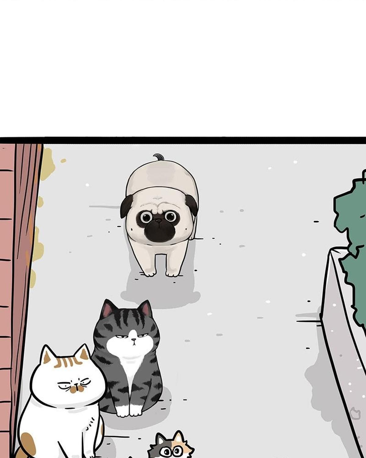 Hoàng Thượng và Ba Trát Hắc: Chapter 404