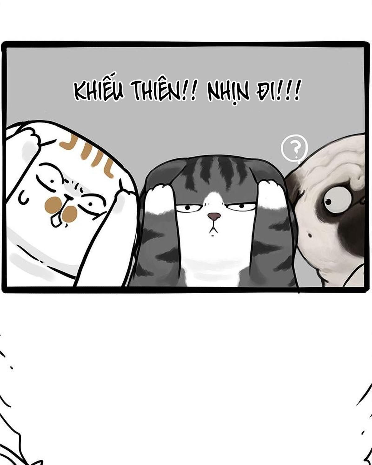 Hoàng Thượng và Ba Trát Hắc: Chapter 404