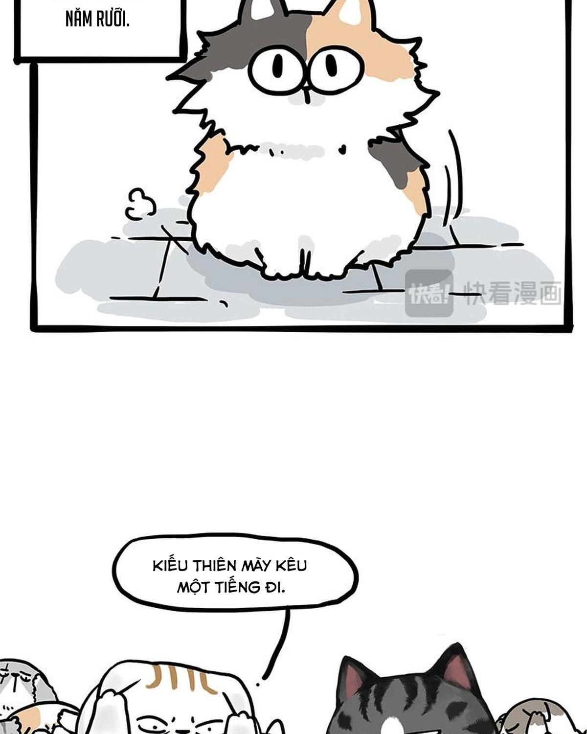 Hoàng Thượng và Ba Trát Hắc: Chapter 404